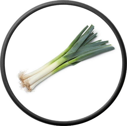 Fresh Leek